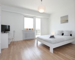 Room N° 24